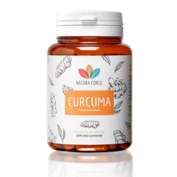 Curcuma 90 Gélules Bio