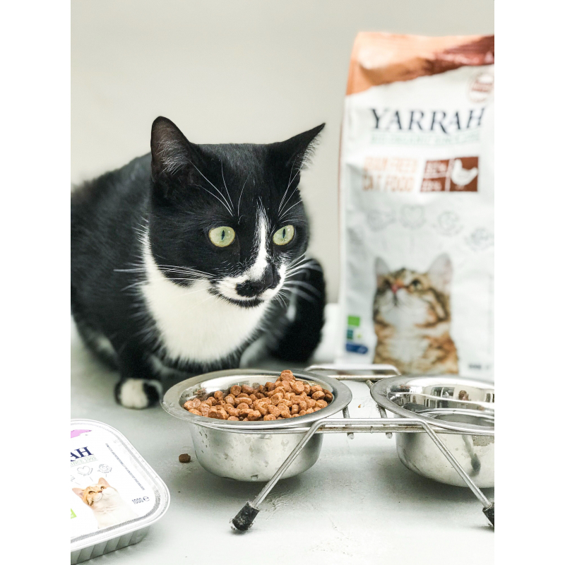 Acheter Bouchees Au Poulet A La Dinde Pour Chat Bio Sur Kazidomi