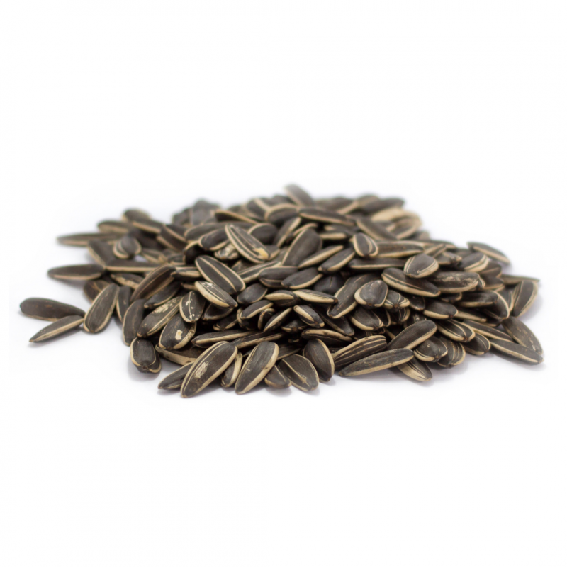 Acheter Graines Tournesol Bio