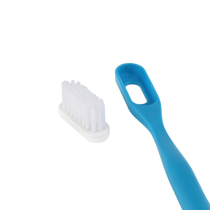 eco dent toothbrush refills
