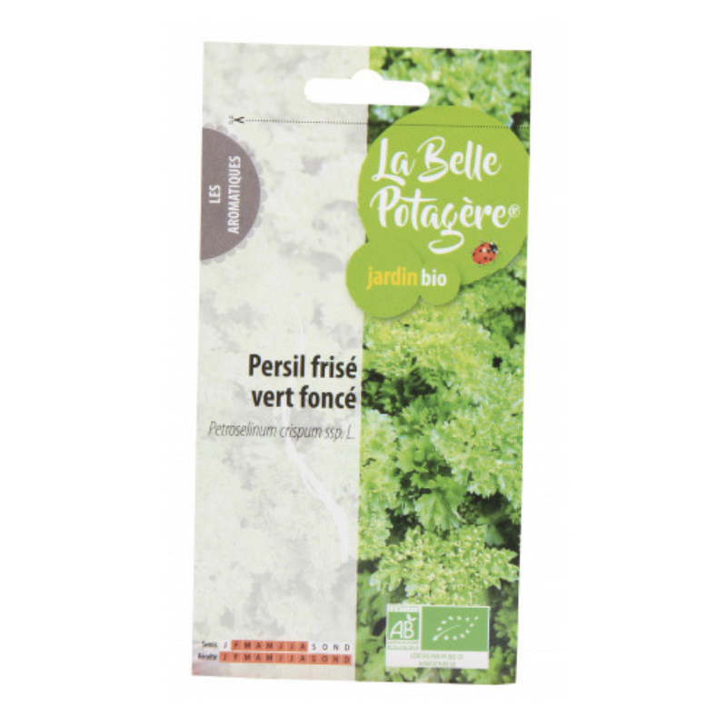 BIO Herbes-Persil Grune Perle 3000 graines-Gros emballage