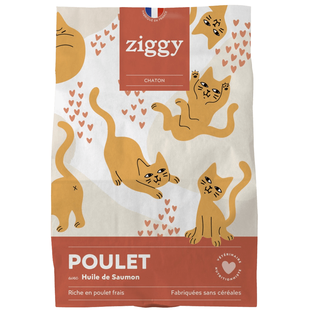 Fresh Look at Chicken Salmon Oil Grain Free Kitten Kibble 2 5Kg Ziggy