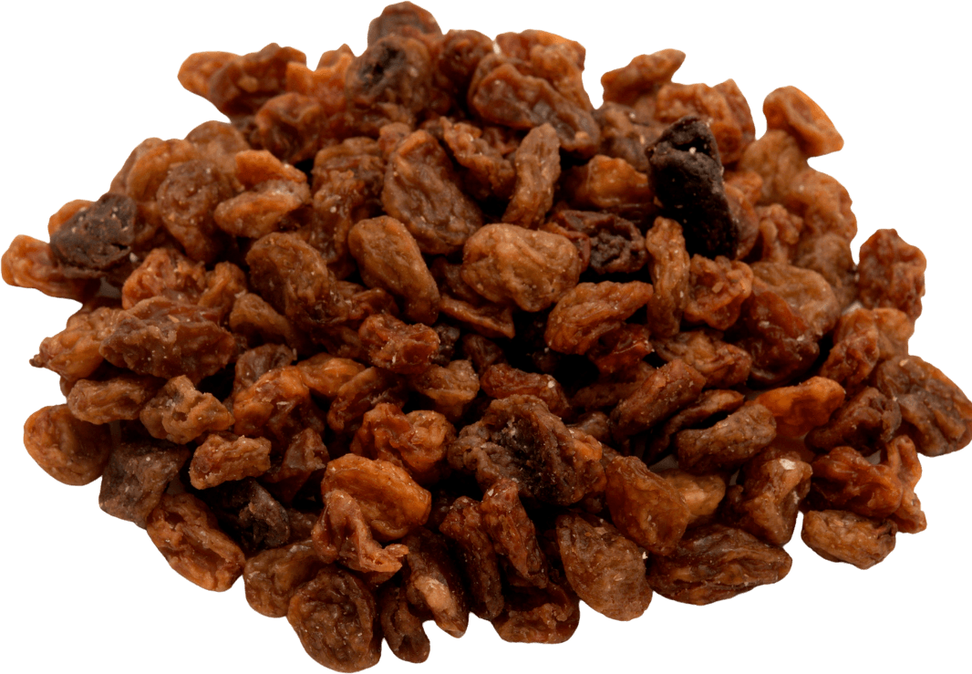 Kamelur raisins secs BIO noirs non sulfurés, aromatiques délicatement  séchés et non sucrés de haute qualité pour affiner le muesli 1 kg (Lot de 1)