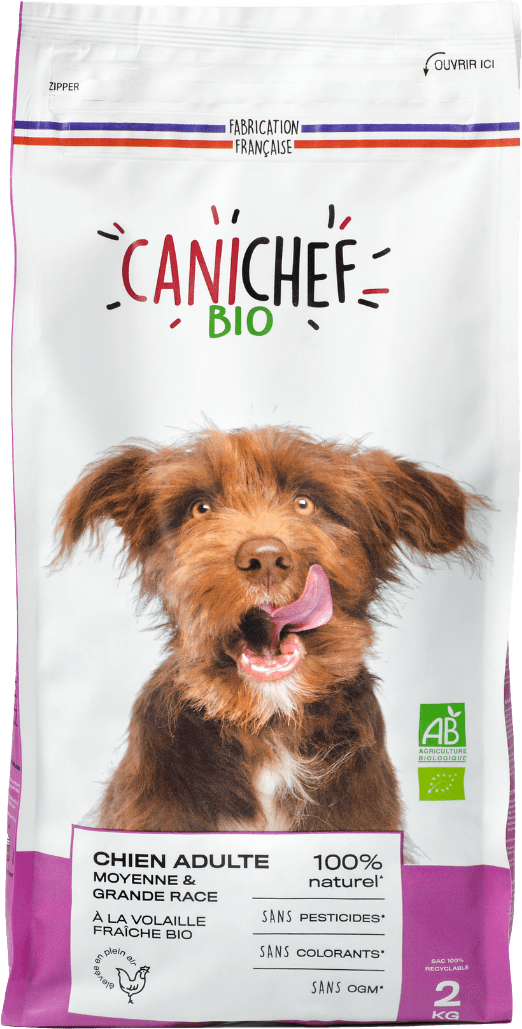 Can I Feed My Medium Dog Large Breed Food