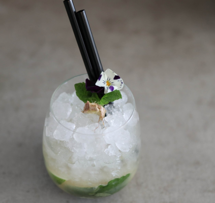 Gimber Mojito
