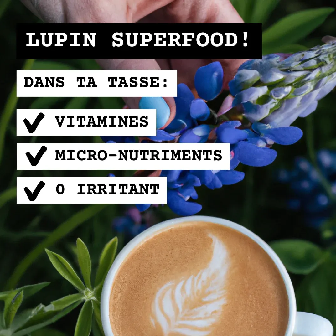 Lupi Coffee Dark