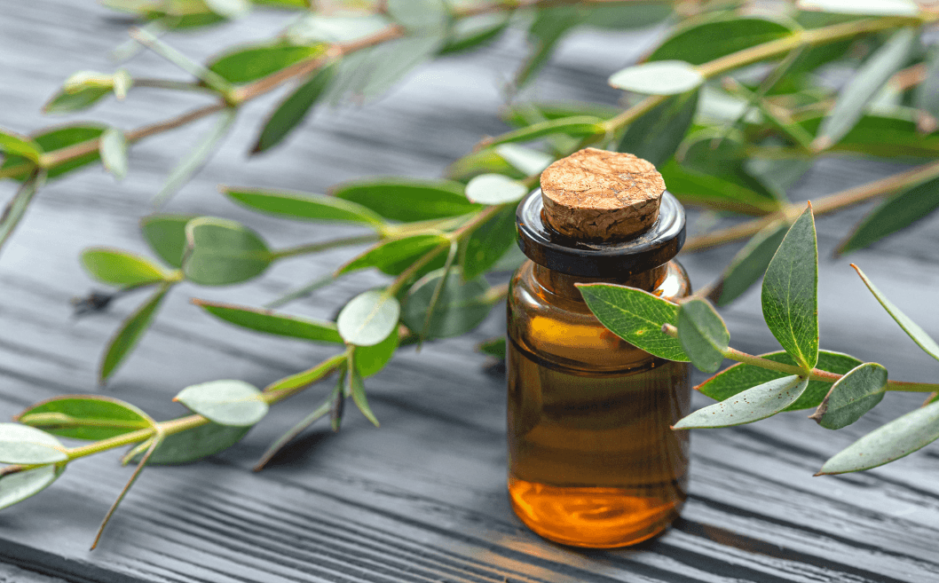 Tout ce qu’il faut savoir sur l’huile essentielle de tea tree | Blog