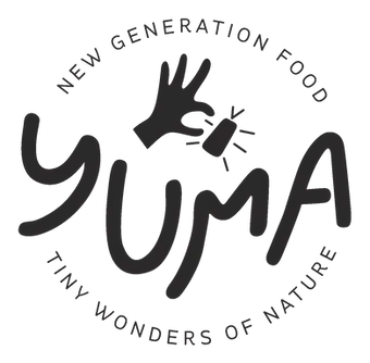 Yuma