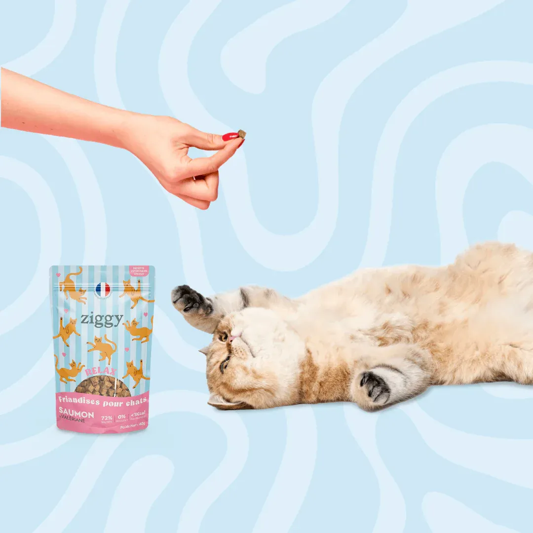 Salmon & Valerian Relax Cat Treats