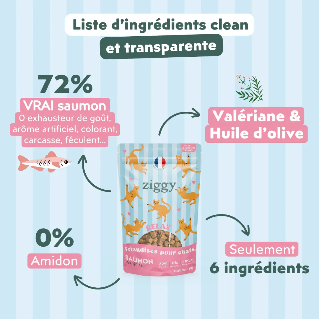 Salmon & Valerian Relax Cat Treats