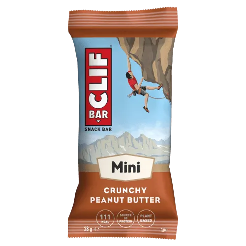 Crunchy Peanut Butter Mini Energy Bars