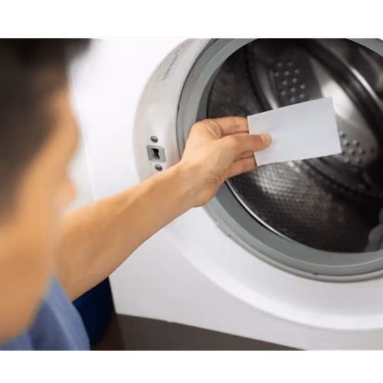Feuilles lavage lessive Lavande