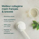 Collagène Marin en poudre Menthe-Citron 3