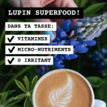 Café de lupin noir moulu 2