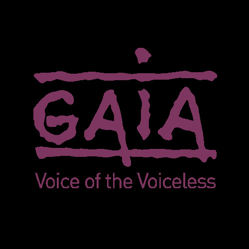 GAIA