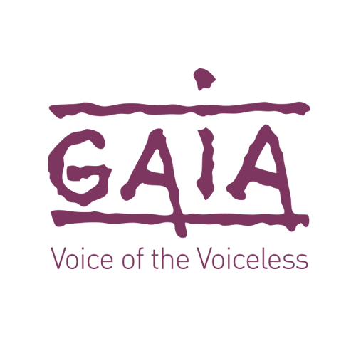 GAIA