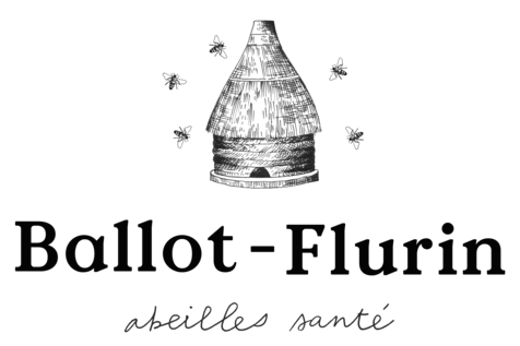 Ballot-Flurin