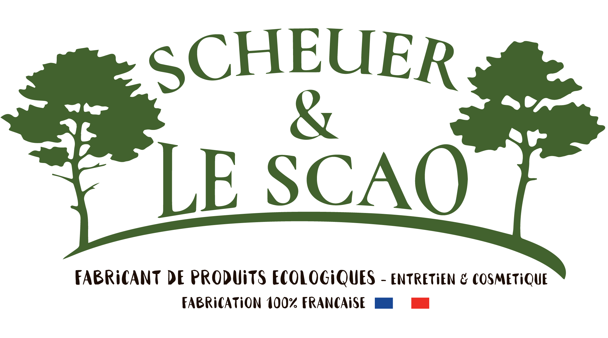 Scheuer & Le Scao