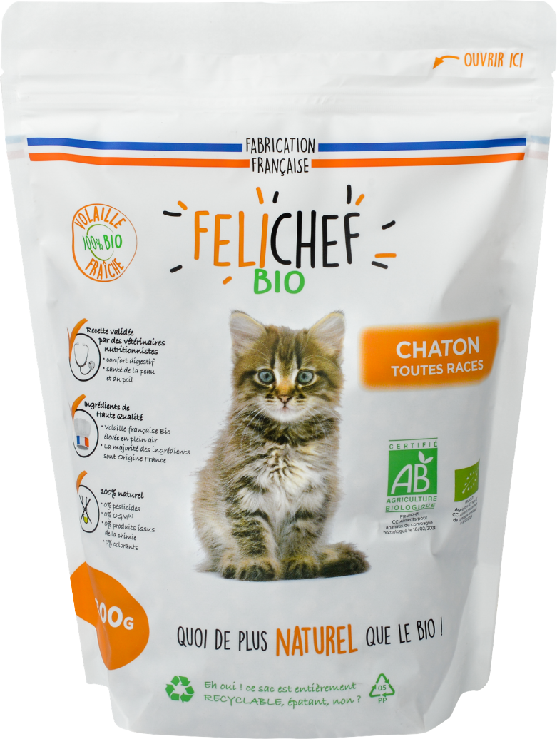 Buy Dry Pet Food Kitten On Kazidomi