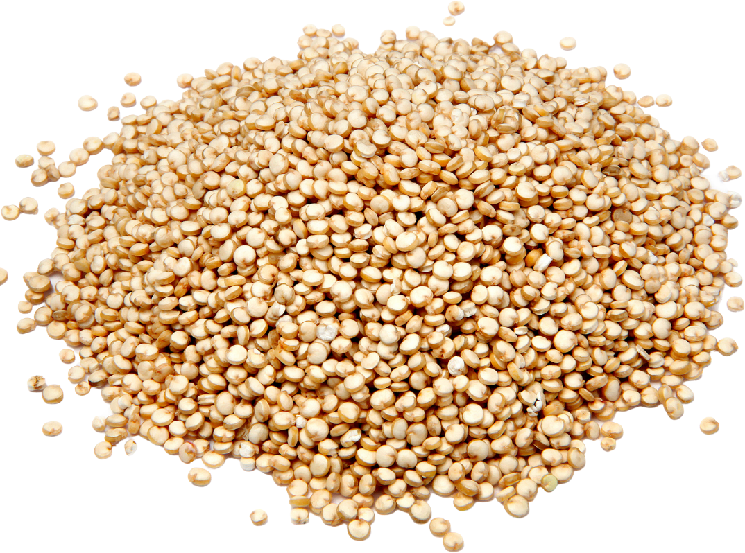 Quinoa blanc Origine France Bio