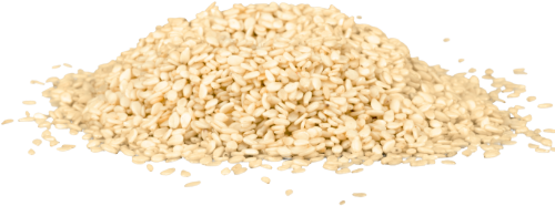 Graines de Sésame Bio 250g
