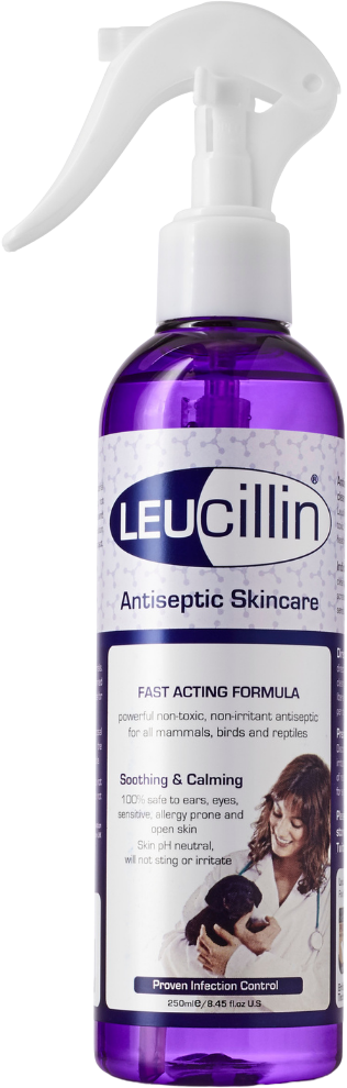 organic cat toothpaste