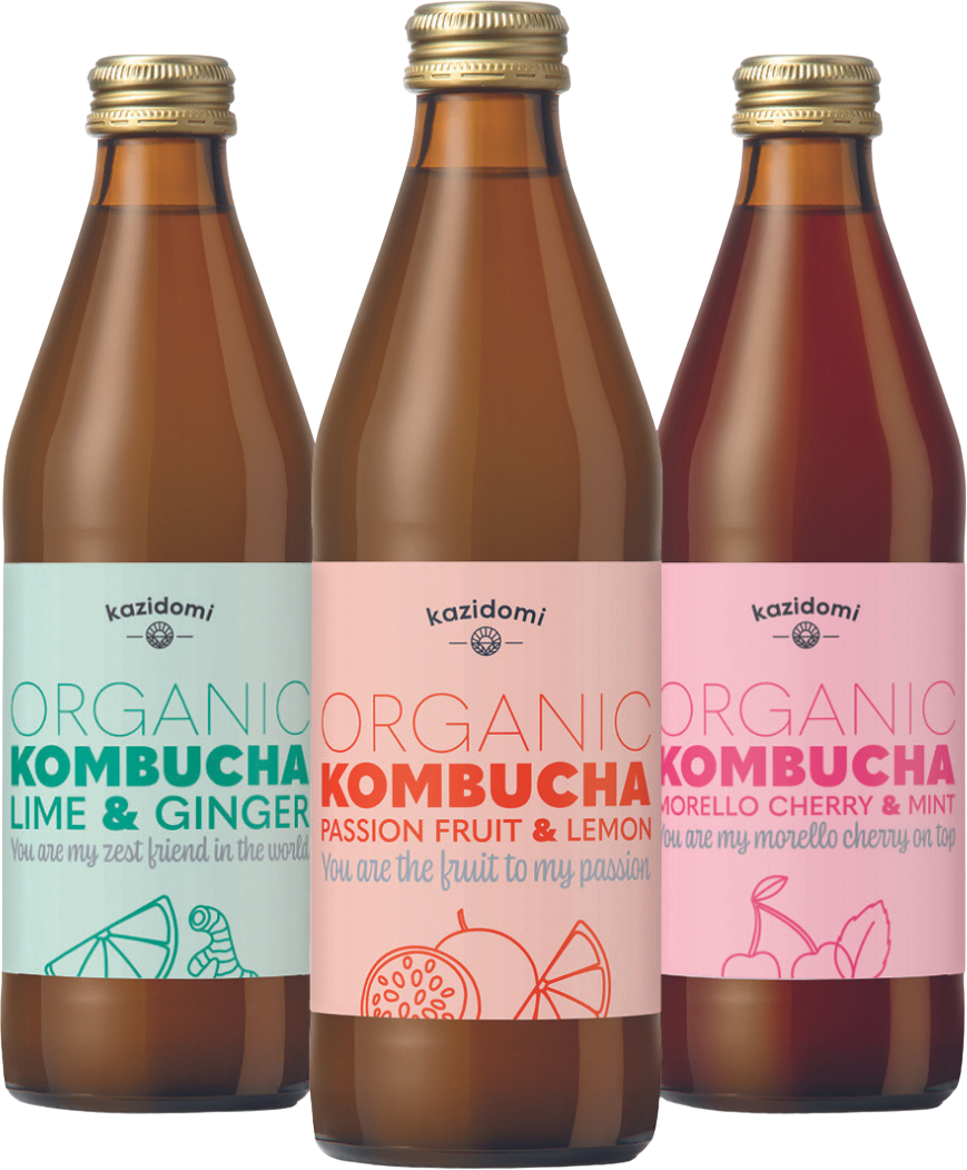 Pack Découverte Nos Kombucha Bio